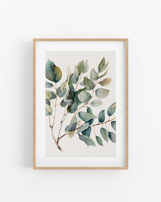 Eucalyptus plakat