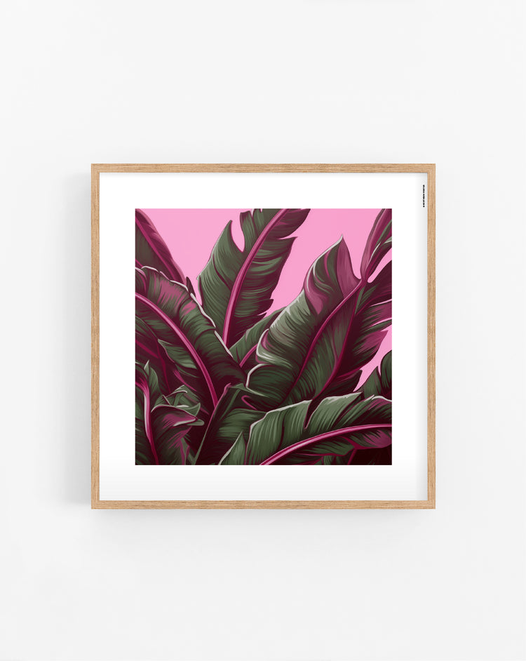 Pink Tropic plakat