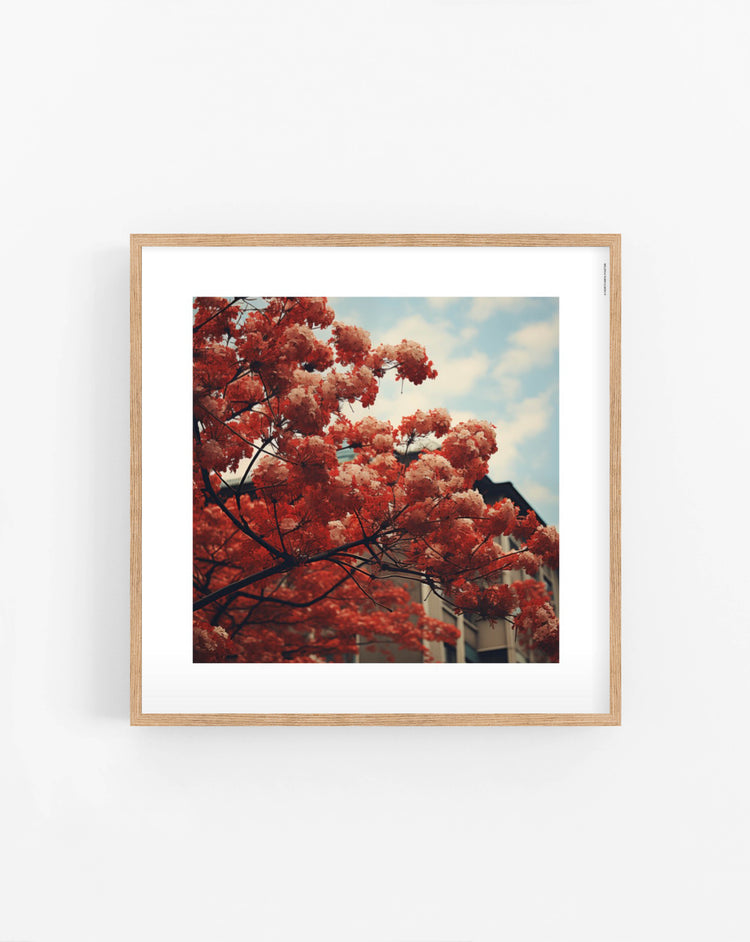 Red Blossom Tree poster