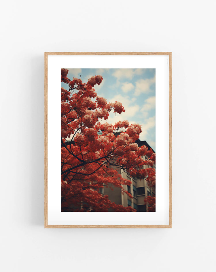 Red Blossom Tree poster